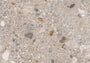 PŁYTKA CERAMICZNA MI/FA1212NO05S20 120 x 120 CM OD MIRAGE