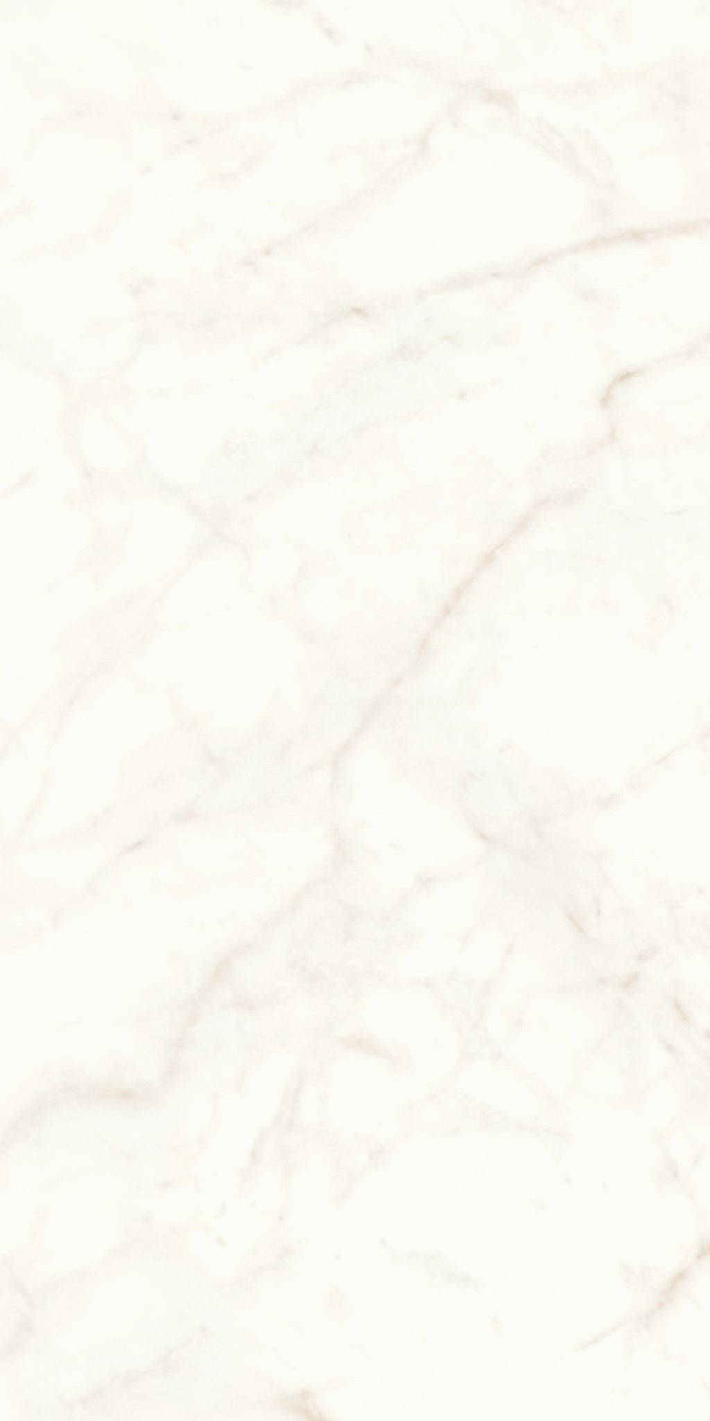 PŁYTKA CERAMICZNA AT/MVS1224CDL 240 X 120 CM OD ATLAS CONCORDE