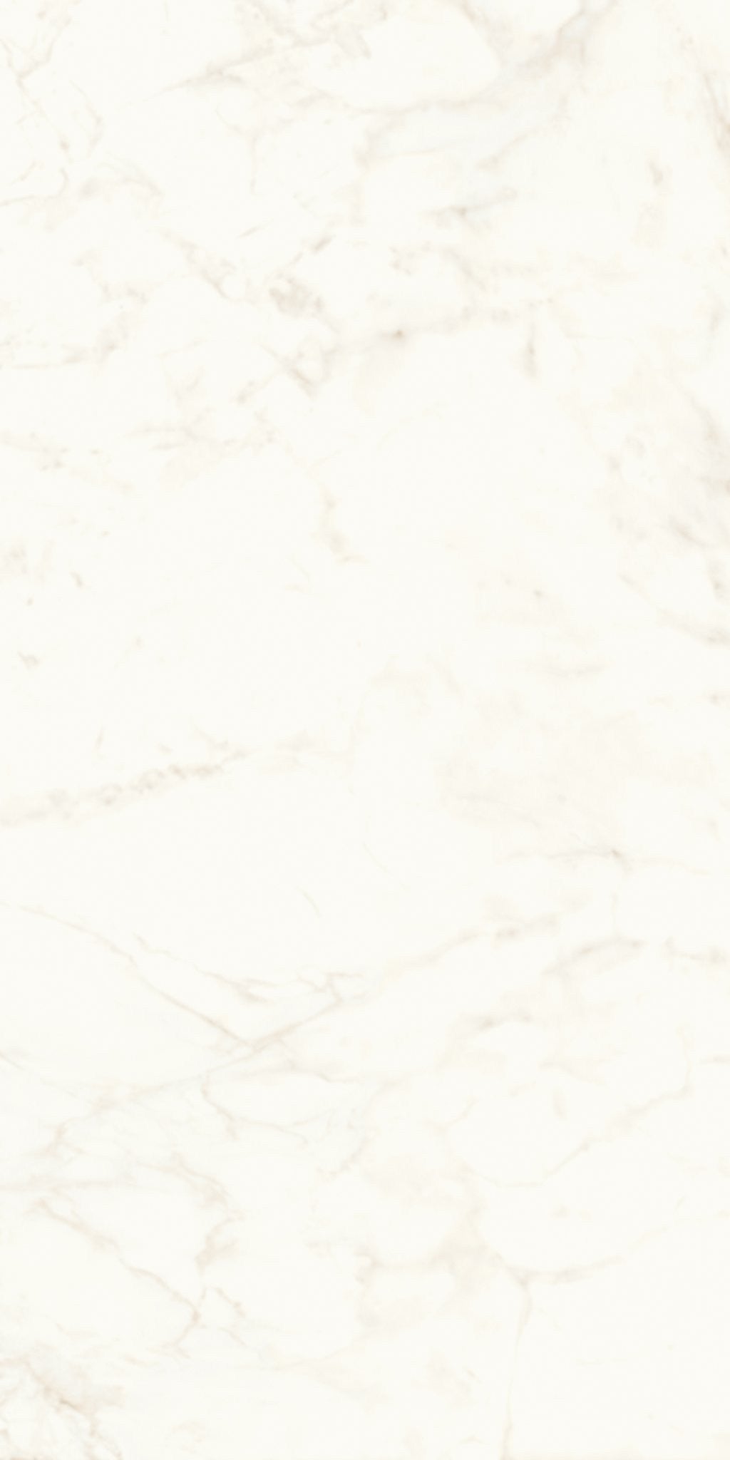 PŁYTKA CERAMICZNA AT/MVS1224CDL 240 X 120 CM OD ATLAS CONCORDE
