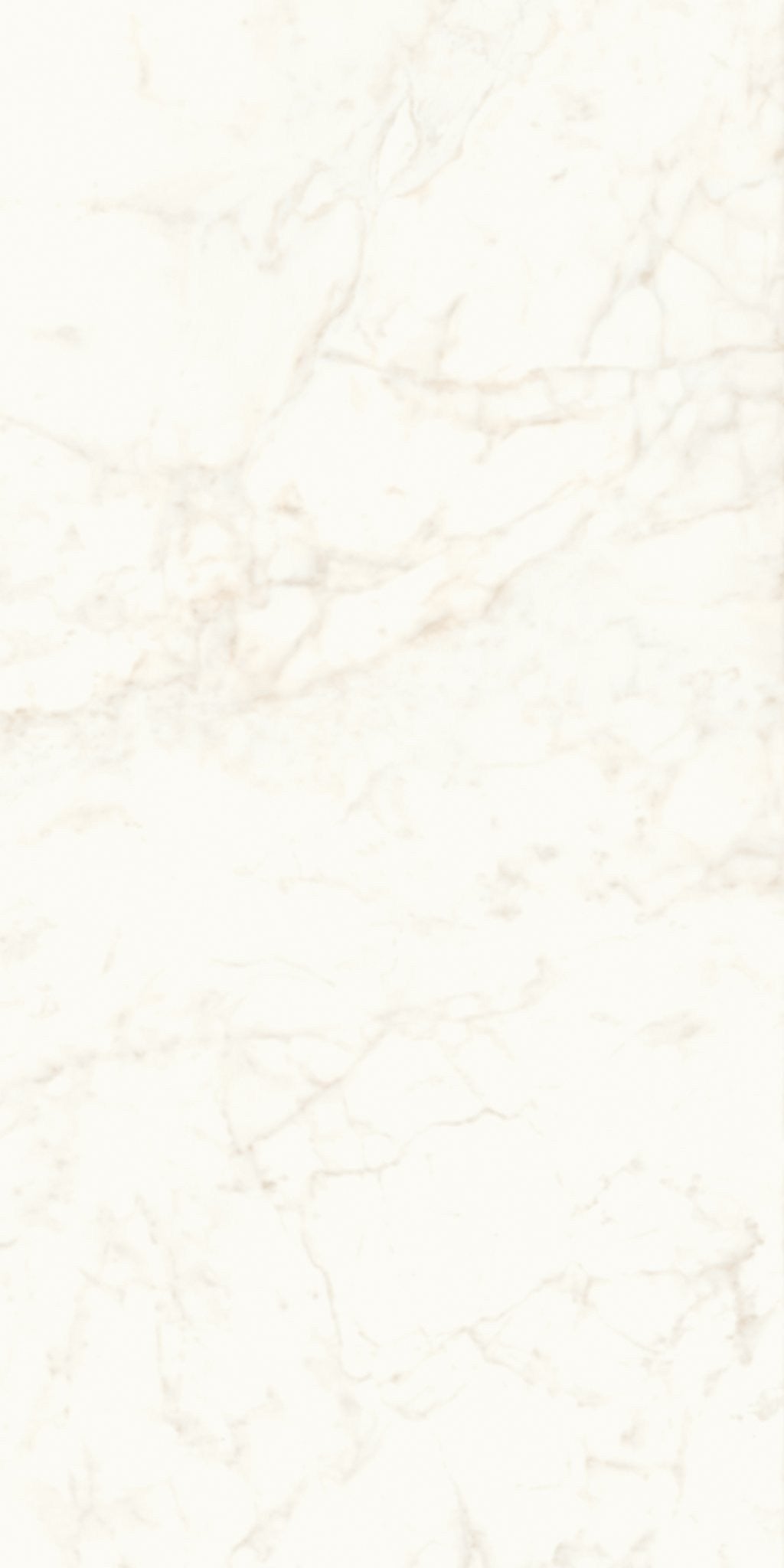 PŁYTKA CERAMICZNA AT/MVS1224CDL 240 X 120 CM OD ATLAS CONCORDE