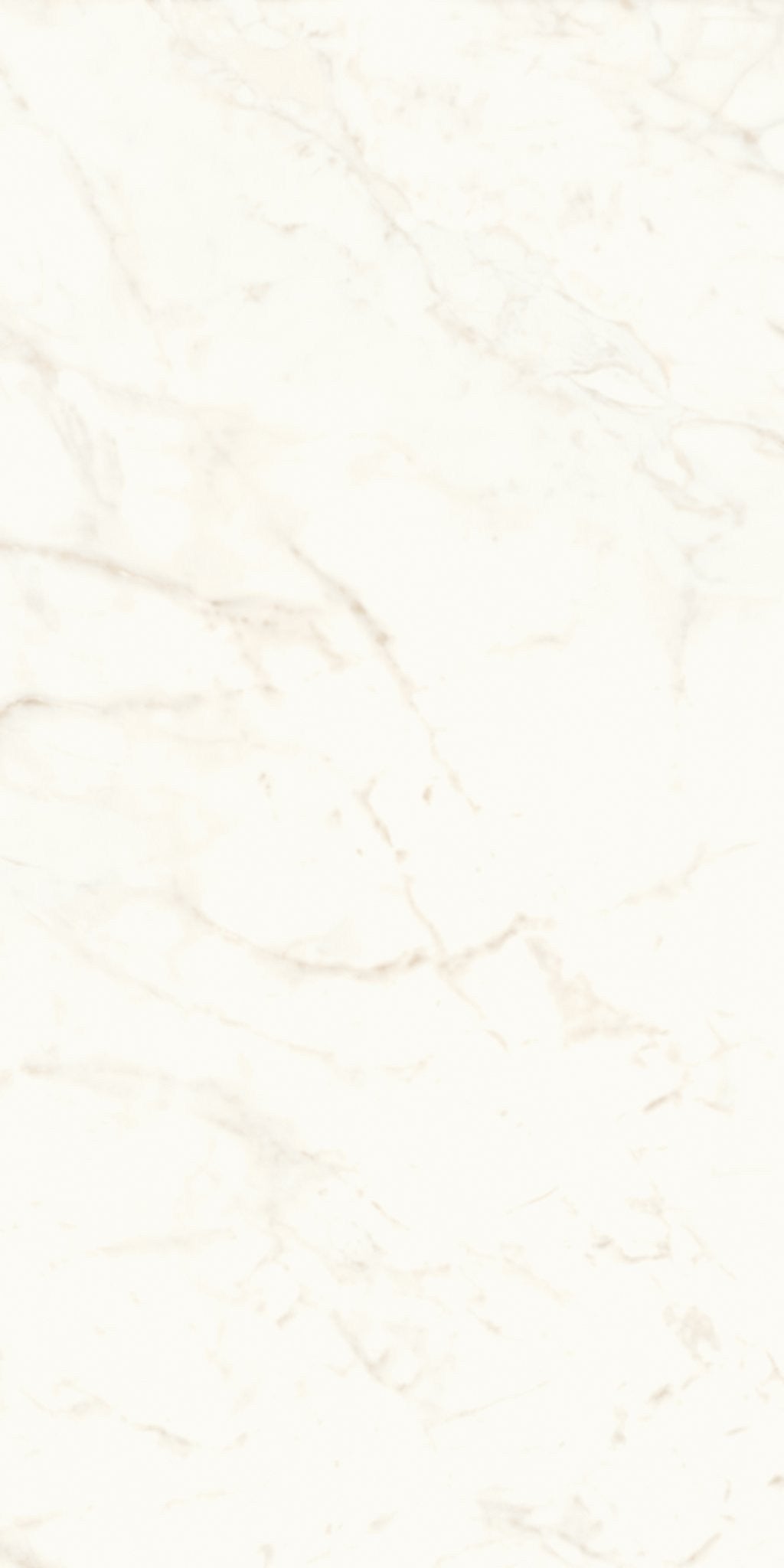 PŁYTKA CERAMICZNA AT/MVS1224CDL 240 X 120 CM OD ATLAS CONCORDE