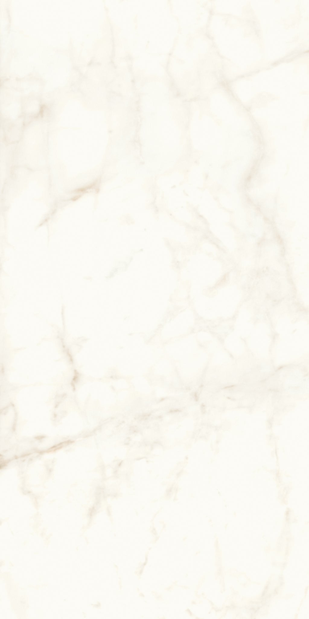 PŁYTKA CERAMICZNA AT/MVS1224CDL 240 X 120 CM OD ATLAS CONCORDE