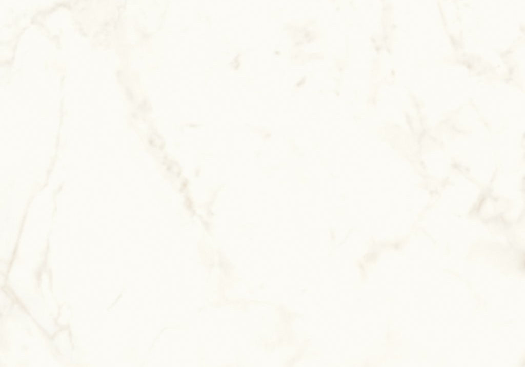 PŁYTKA CERAMICZNA AT/MVS1224CDL 240 X 120 CM OD ATLAS CONCORDE