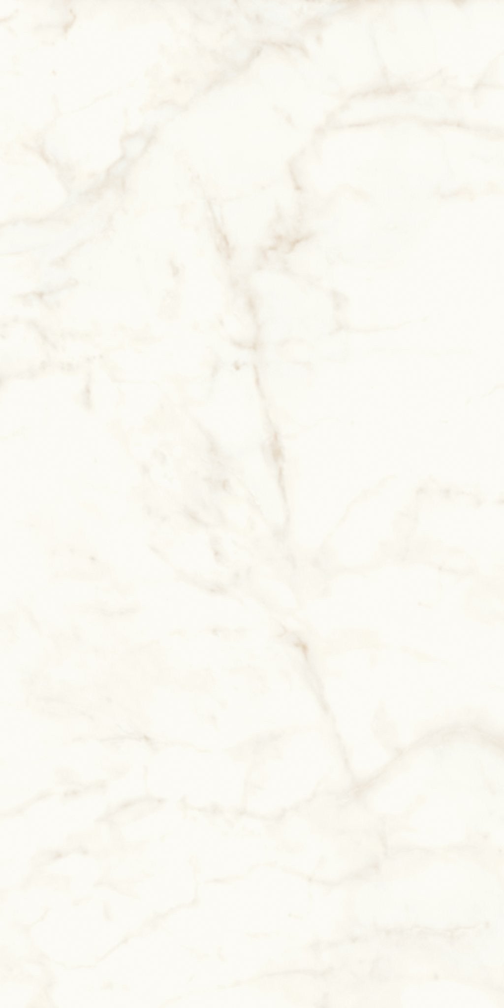 PŁYTKA CERAMICZNA AT/MVS1224CDL 240 X 120 CM OD ATLAS CONCORDE