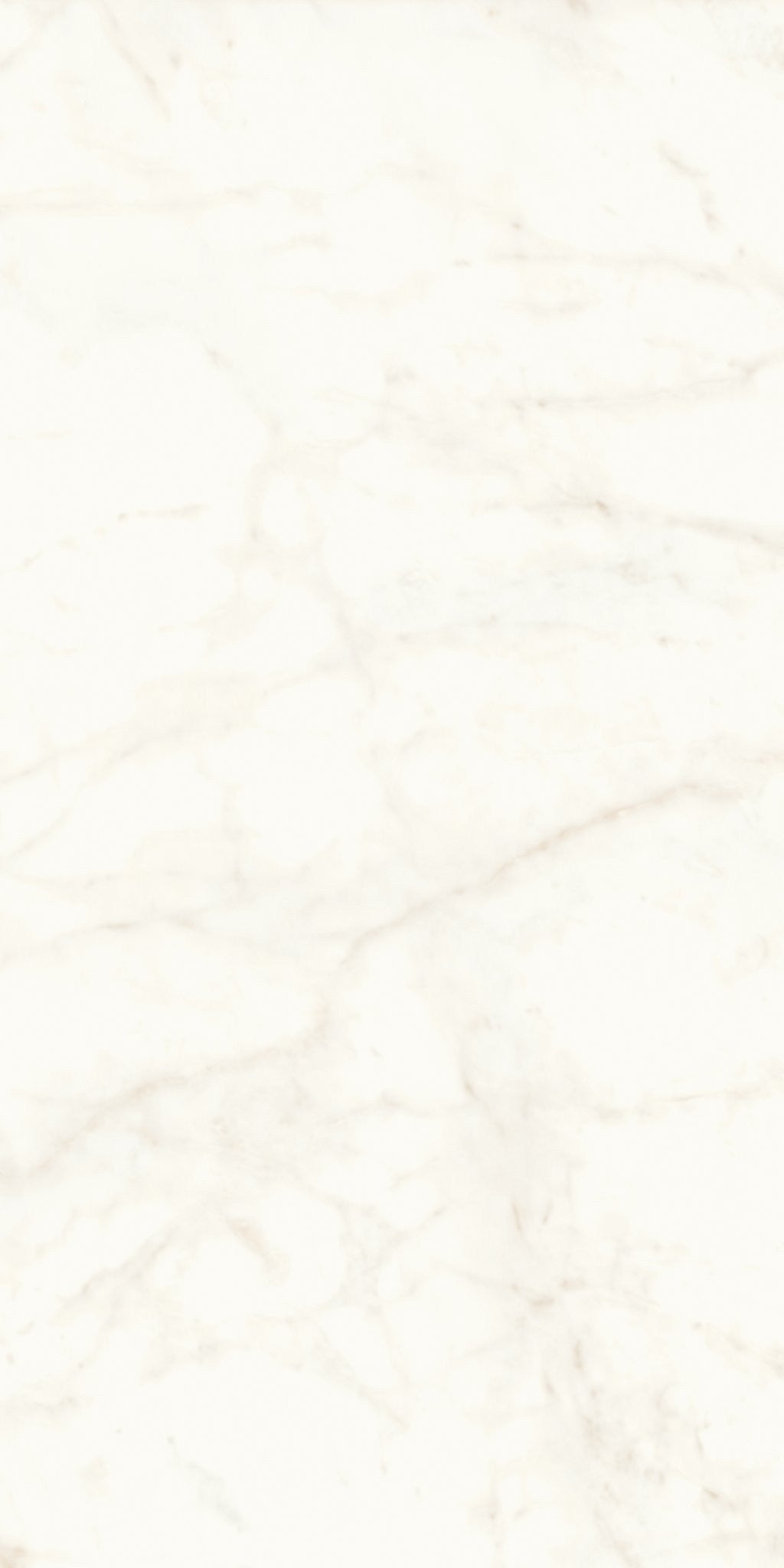 PŁYTKA CERAMICZNA AT/MVS1224CDL 240 X 120 CM OD ATLAS CONCORDE