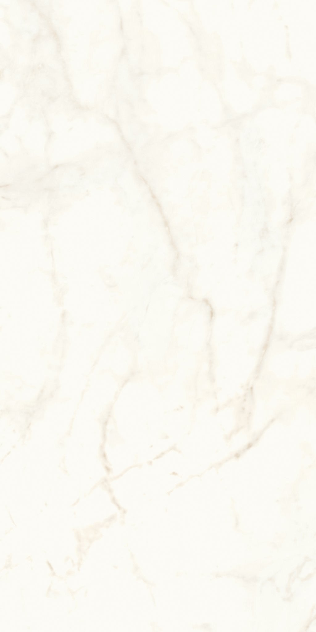 PŁYTKA CERAMICZNA AT/MVS1224CDL 240 X 120 CM OD ATLAS CONCORDE