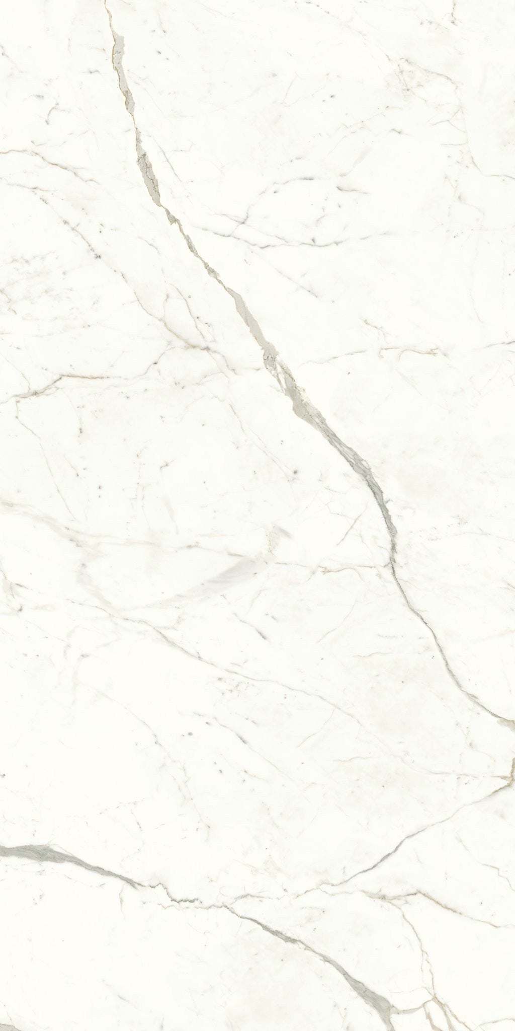 PŁYTKA CERAMICZNA AT/MVS1224CPL 240 X 120 CM OD ATLAS CONCORDE