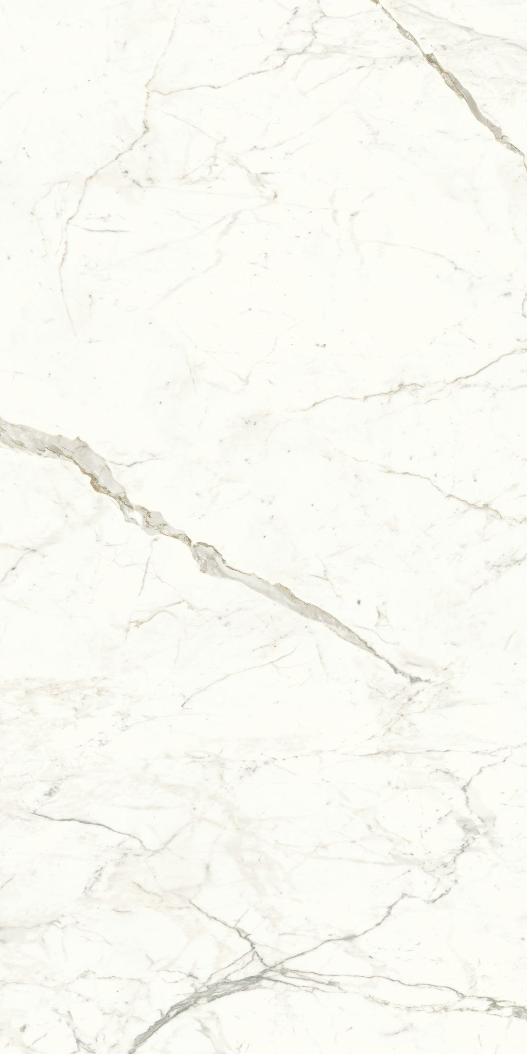 PŁYTKA CERAMICZNA AT/MVS1224CPL 240 X 120 CM OD ATLAS CONCORDE