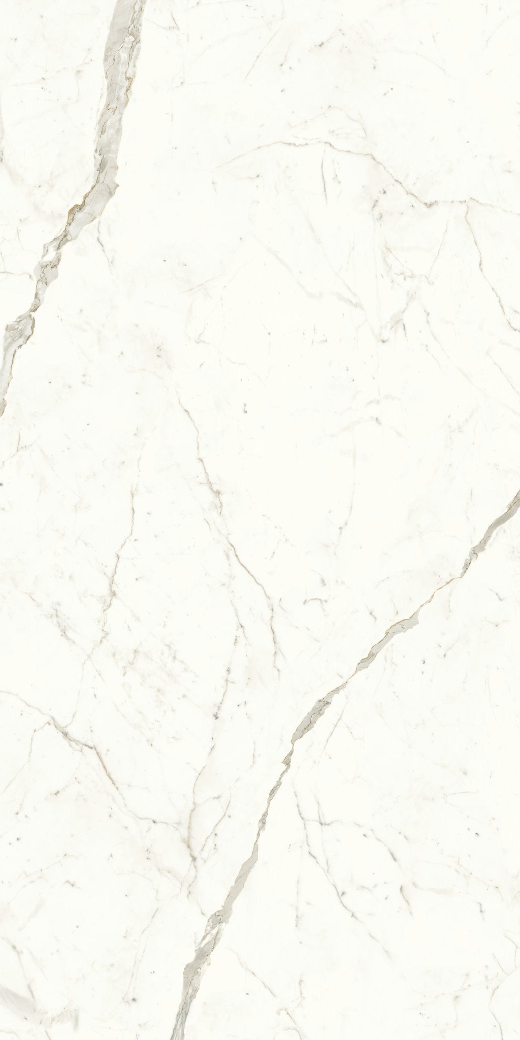 PŁYTKA CERAMICZNA AT/MVS1224CPL 240 X 120 CM OD ATLAS CONCORDE