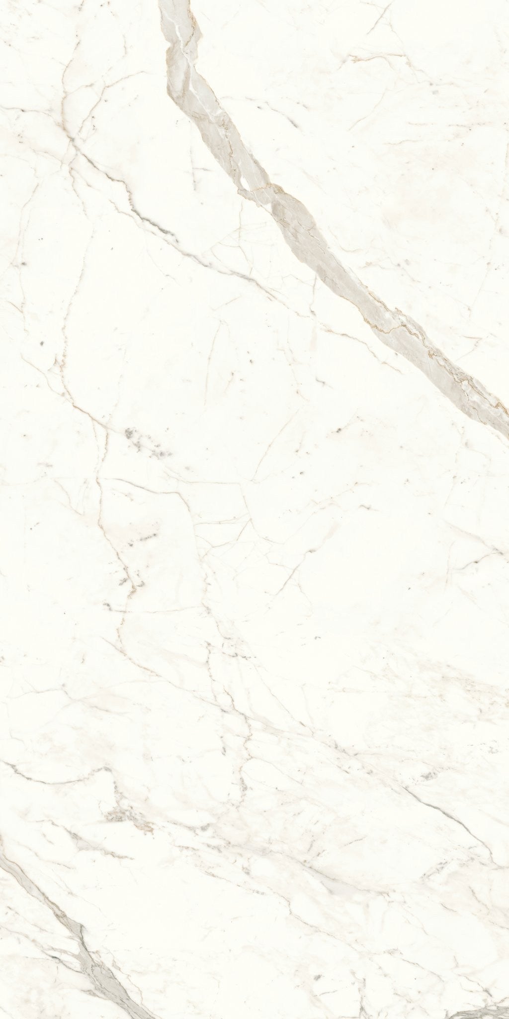 PŁYTKA CERAMICZNA AT/MVS1224CPL 240 X 120 CM OD ATLAS CONCORDE