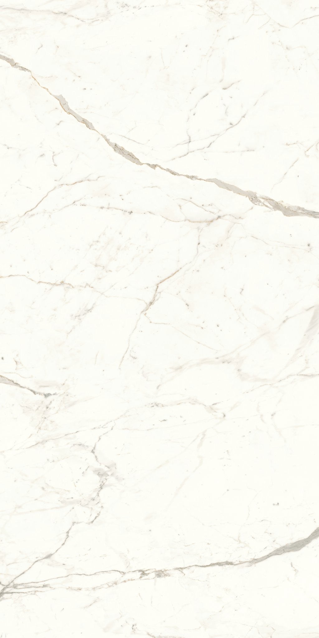 PŁYTKA CERAMICZNA AT/MVS1224CPL 240 X 120 CM OD ATLAS CONCORDE