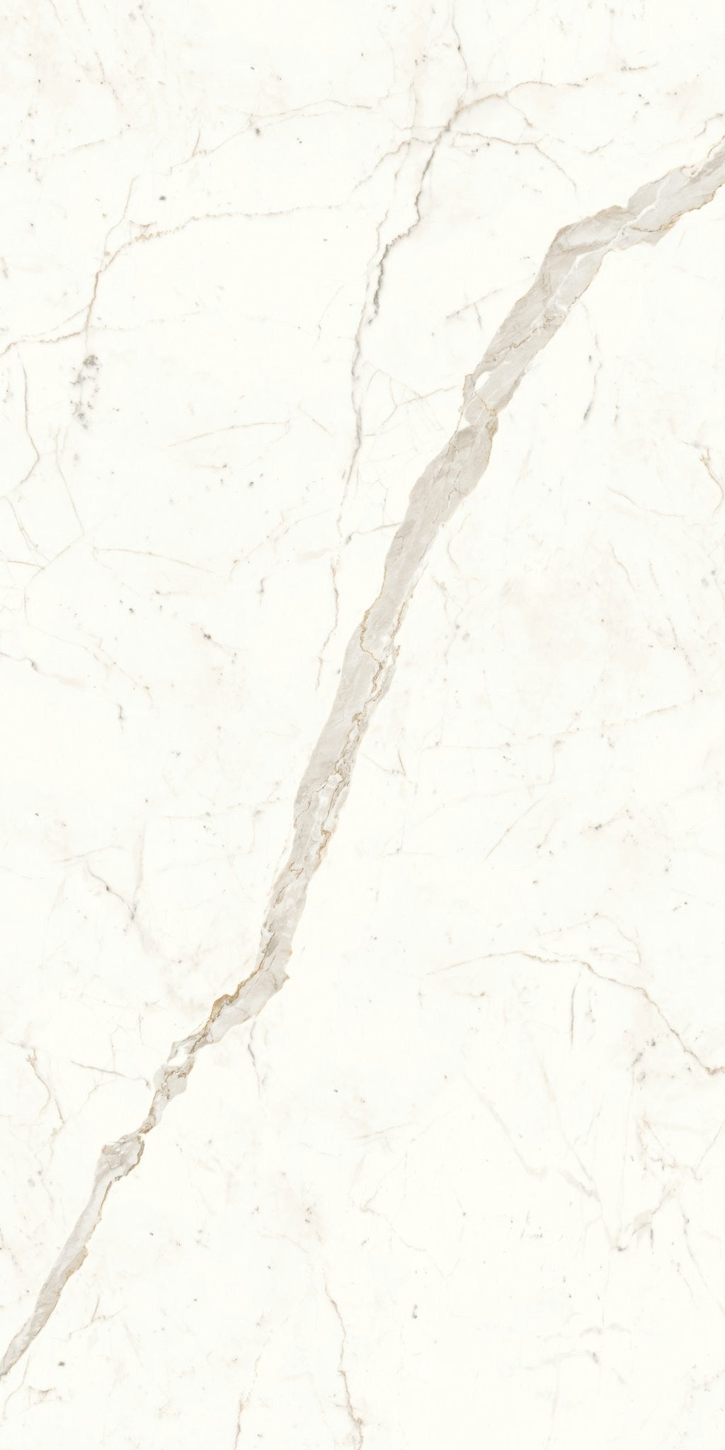 PŁYTKA CERAMICZNA AT/MVS1224CPL 240 X 120 CM OD ATLAS CONCORDE