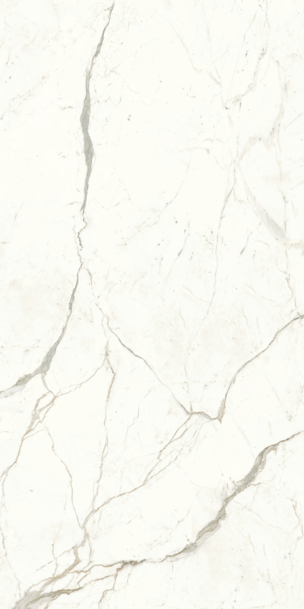 PŁYTKA CERAMICZNA AT/MVS1224CPL 240 X 120 CM OD ATLAS CONCORDE