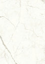PŁYTKA CERAMICZNA AT/MVS1224CPL 240 X 120 CM OD ATLAS CONCORDE
