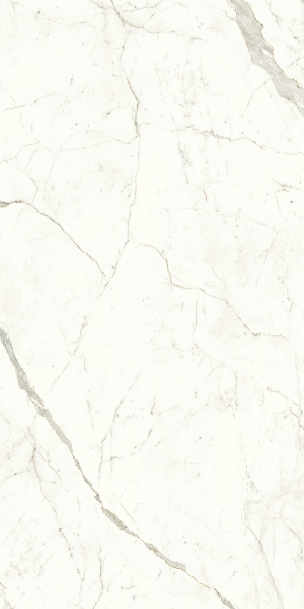 PŁYTKA CERAMICZNA AT/MVS1224CPL 240 X 120 CM OD ATLAS CONCORDE