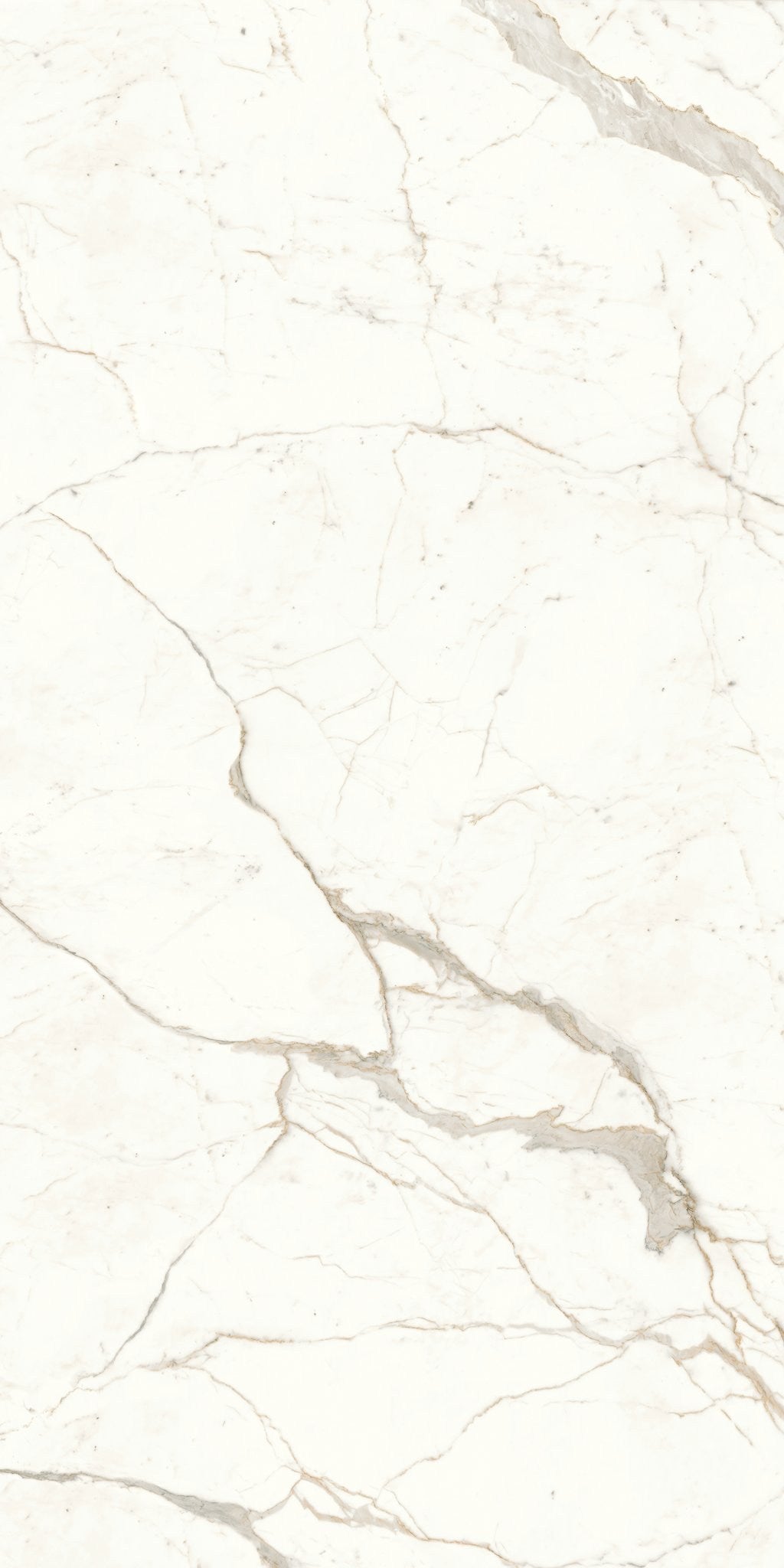 PŁYTKA CERAMICZNA AT/MVS1224CPL 240 X 120 CM OD ATLAS CONCORDE