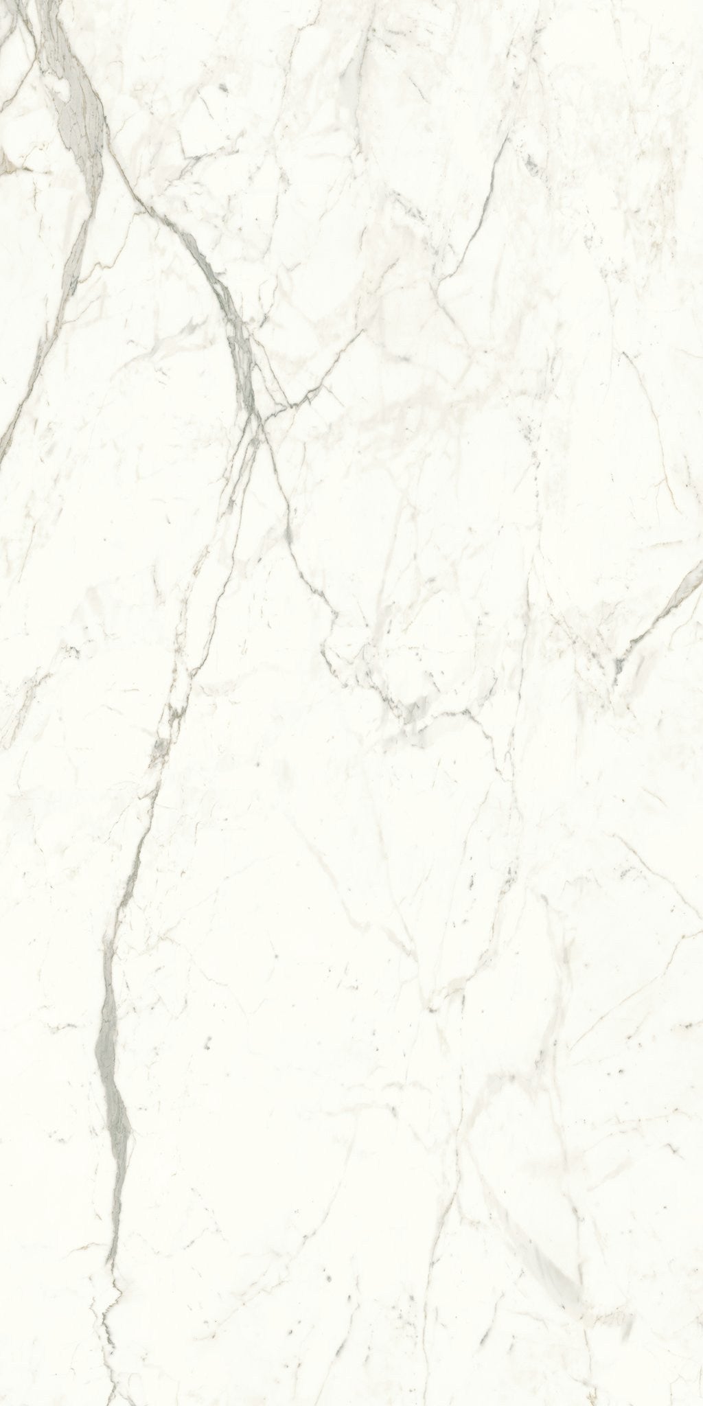 PŁYTKA CERAMICZNA AT/MVS1224CPL 240 X 120 CM OD ATLAS CONCORDE