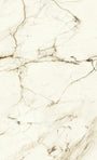 PŁYTKA CERAMICZNA  278 X 120 CM OD ATLAS CONCORDE