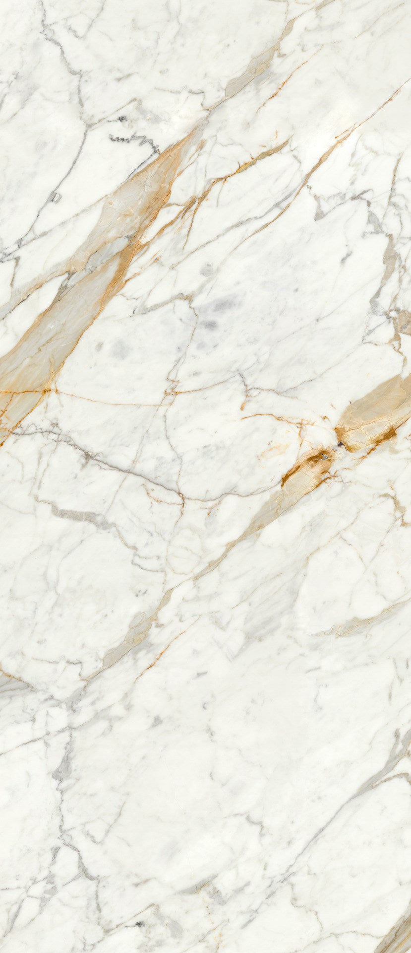 PŁYTKA CERAMICZNA CALACATTA MICHELANGELO 278 X 120 CM OD RAGNO