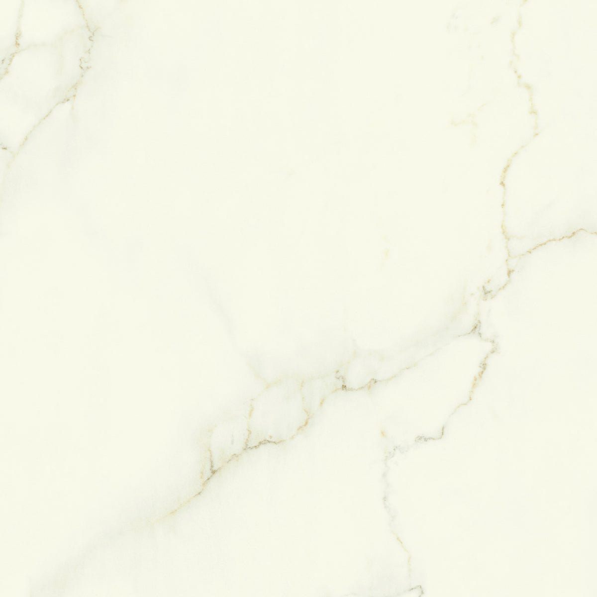 PŁYTKA CERAMICZNA CALACATTA APUANO LAP. 120 x 278 CM OD ATLAS CONCORDE