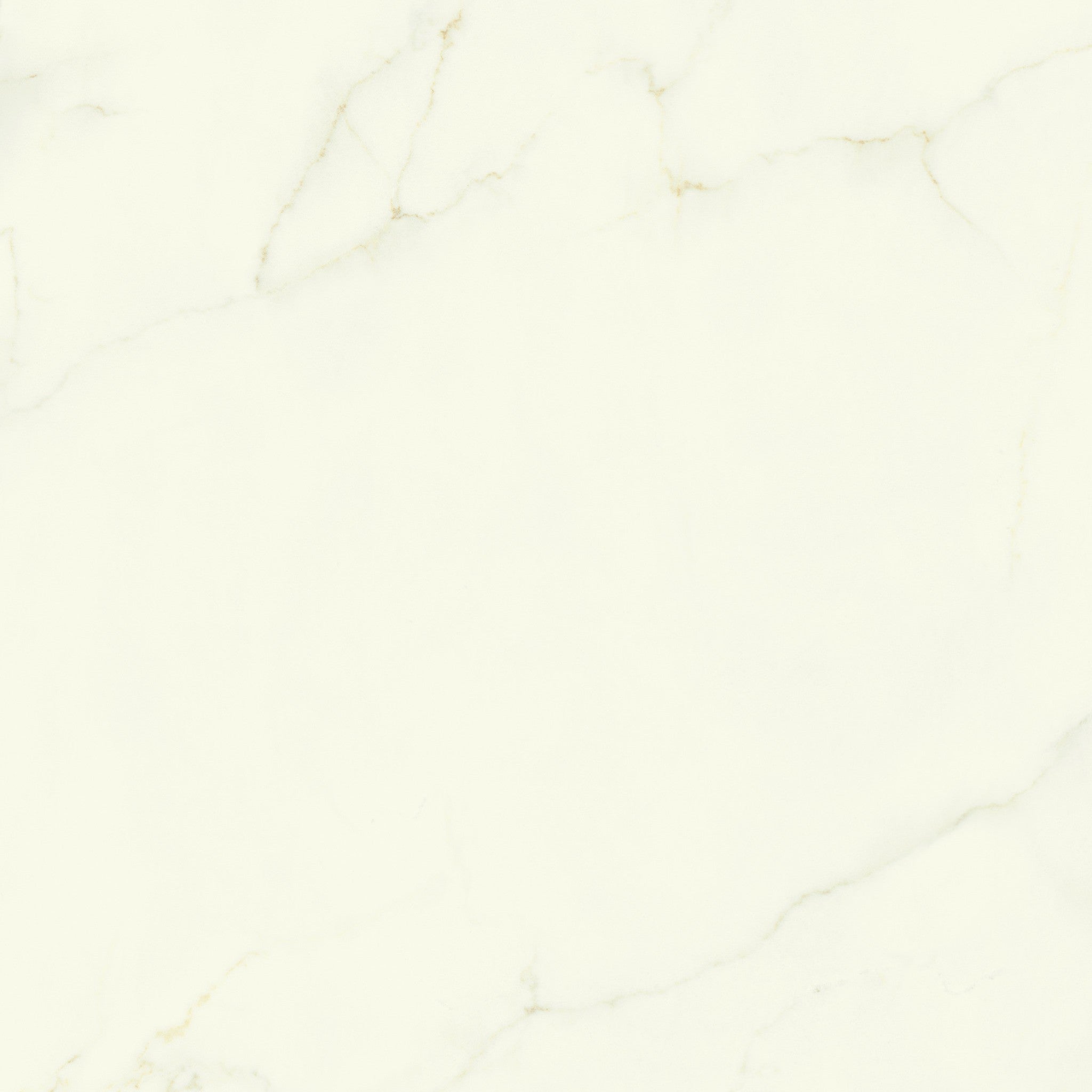 PŁYTKA CERAMICZNA CALACATTA APUANO LAP. 120 x 278 CM OD ATLAS CONCORDE