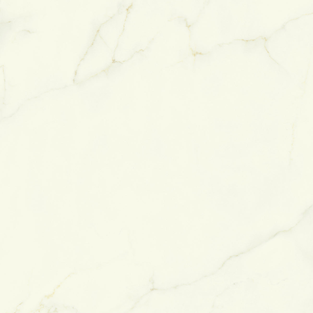 PŁYTKA CERAMICZNA CALACATTA APUANO LAP. 120 x 278 CM OD ATLAS CONCORDE