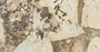 PŁYTKA CERAMICZNA DESERT SOUL LAP. 120 X 278 CM OD ATLAS CONCORDE