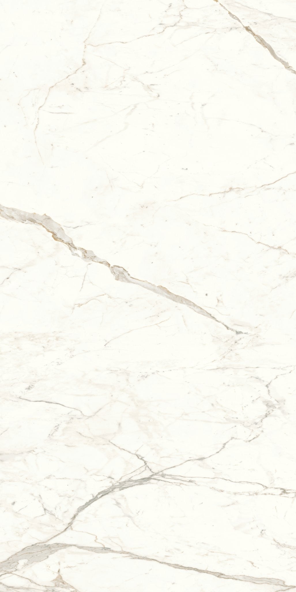 PŁYTKA CERAMICZNA  320 X 160 CM OD ATLAS CONCORDE