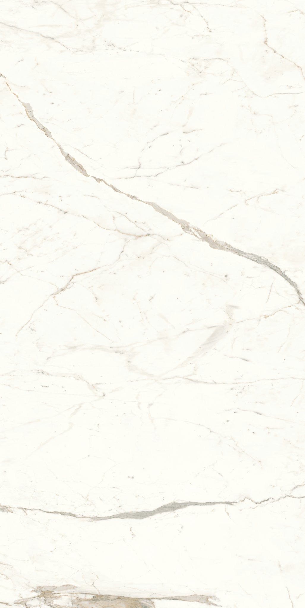 PŁYTKA CERAMICZNA  320 X 160 CM OD ATLAS CONCORDE