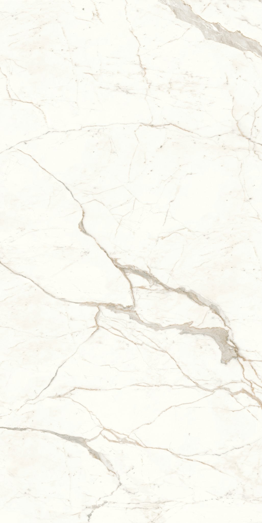 PŁYTKA CERAMICZNA  320 X 160 CM OD ATLAS CONCORDE