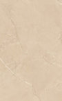 PŁYTKA CERAMICZNA PR/UI1227PBGN6 120 X 278 CM OD EMIL CERAMICA