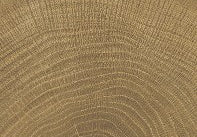 PŁYTKA CERAMICZNA PR/W-C11WAN 10 X 10 CM OD PROVENZA