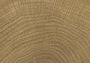 PŁYTKA CERAMICZNA PR/W-C11WAN 10 X 10 CM OD PROVENZA