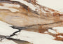 PŁYTKA CERAMICZNA  270 X 120 CM OD PORCELANOSA