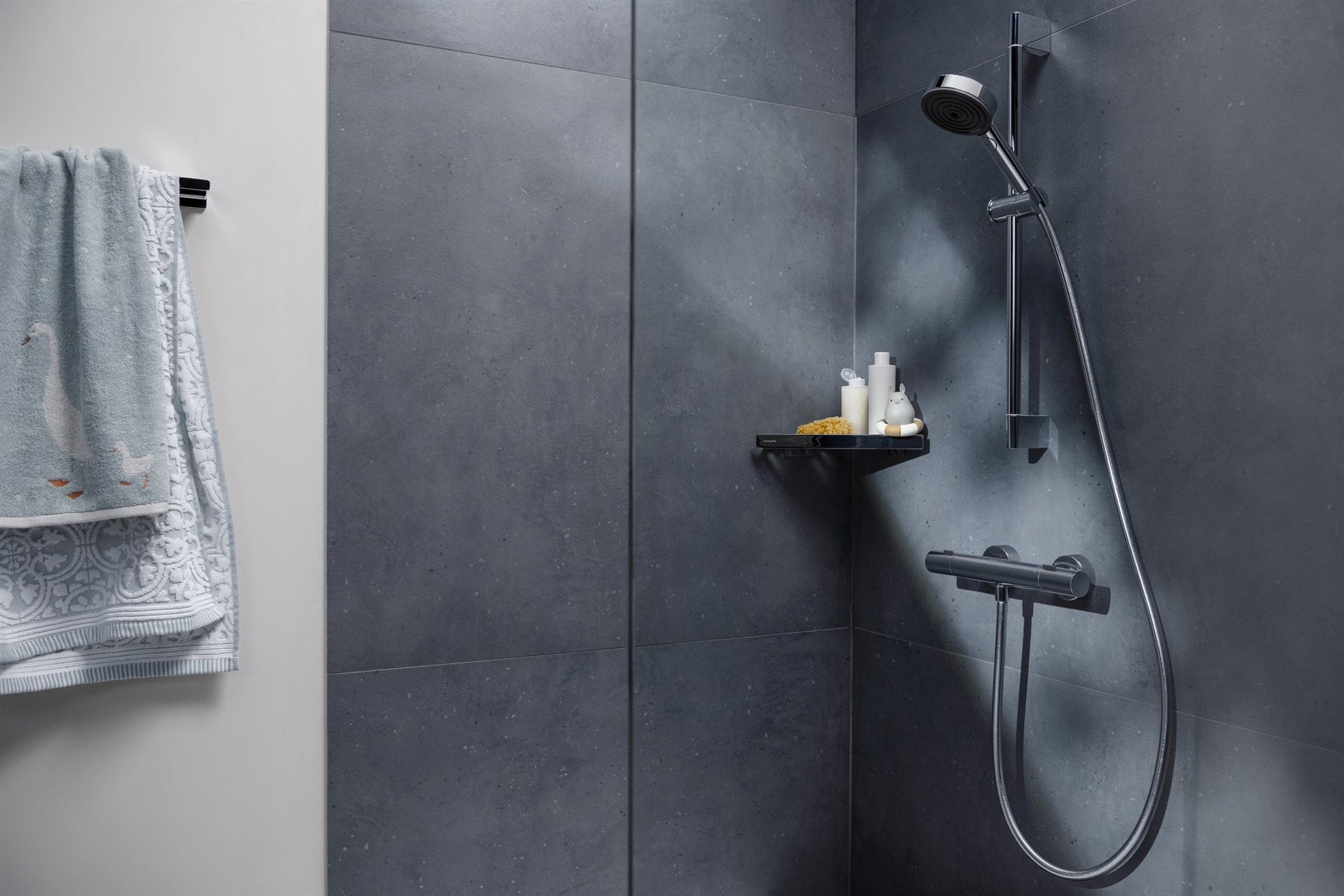 AKCESORIUM ŁAZIENKOWE  ADDSTORIS Q SREBRNY OD HANSGROHE 41741000