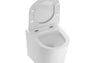 MISKA WC WISZĄCA LEGEND OD MOBI MCM066