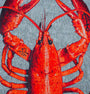 DYWAN OKRĄGŁY POP LOBSTER STEAM RED 240 x  CM OD CARPETS & MORE