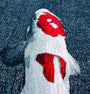 DYWAN OKRĄGŁY POP KOI JAPANESE POND 240 x 240 cm od CARPETS & MORE