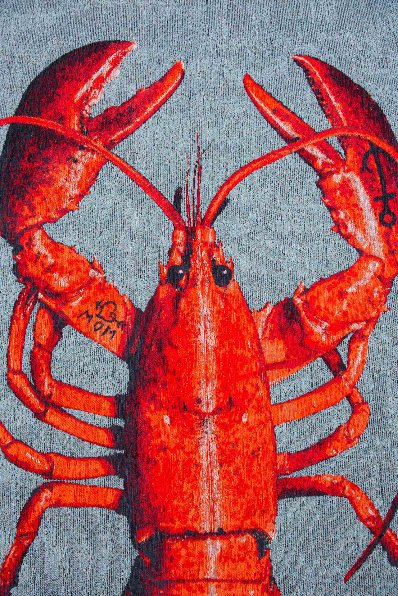 DYWAN PROSTOKĄTNY LOBSTER STEAM RED  x  cm od CARPETS & MORE