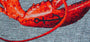 DYWAN PROSTOKĄTNY POP LOBSTER STEAM RED  x  cm od CARPETS & MORE