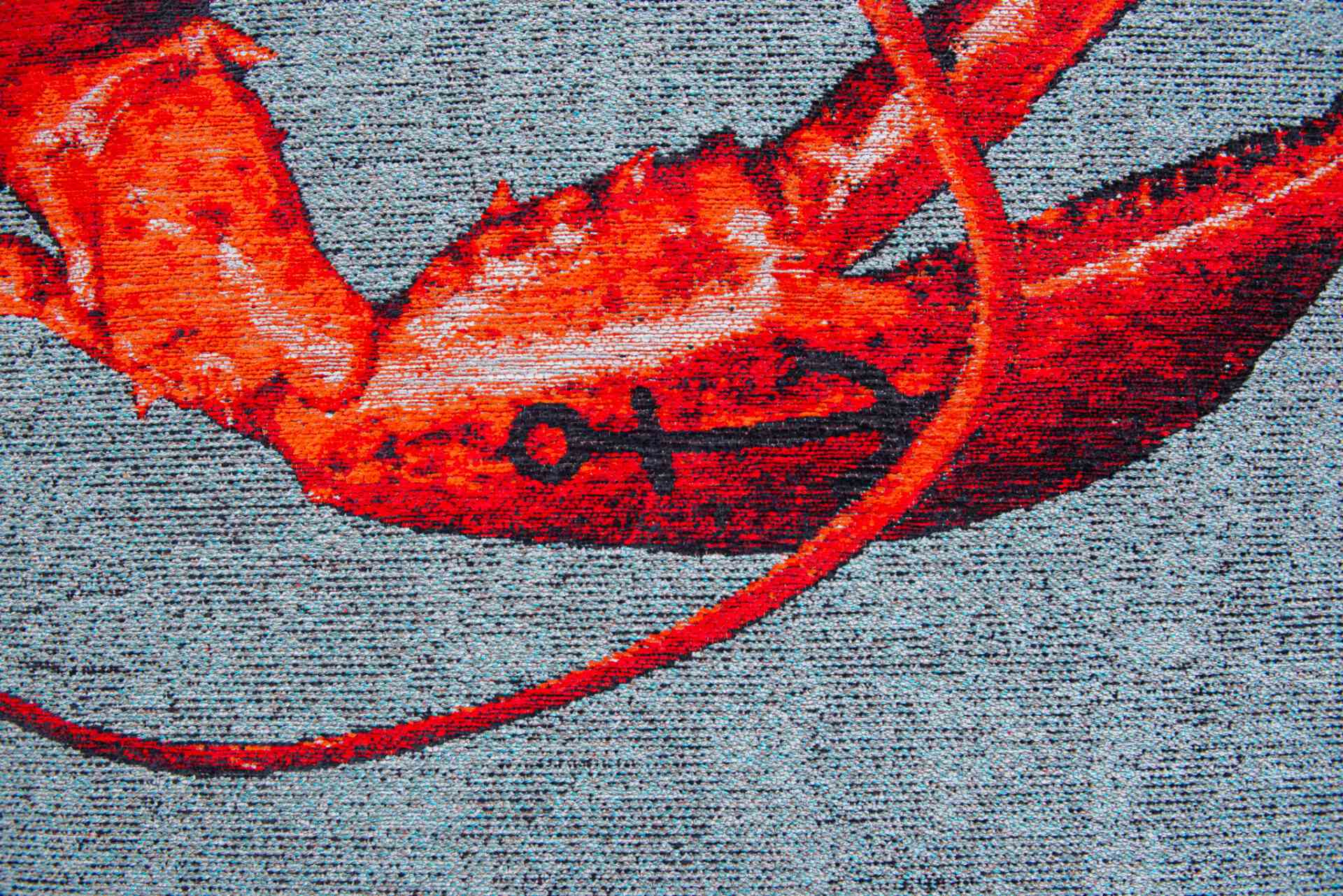 DYWAN PROSTOKĄTNY POP LOBSTER STEAM RED  x  cm od CARPETS & MORE