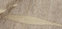 DYWAN PROSTOKĄTNY LANDSCAPE STREAM BEIGE  x  cm od CARPETS & MORE