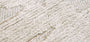 DYWAN PROSTOKĄTNY BAOBAB DRY BEIGE  x  cm od CARPETS & MORE