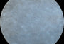 DYWAN OKRĄGŁY LONGBARN RIPE 200 x  CM OD CARPETS & MORE