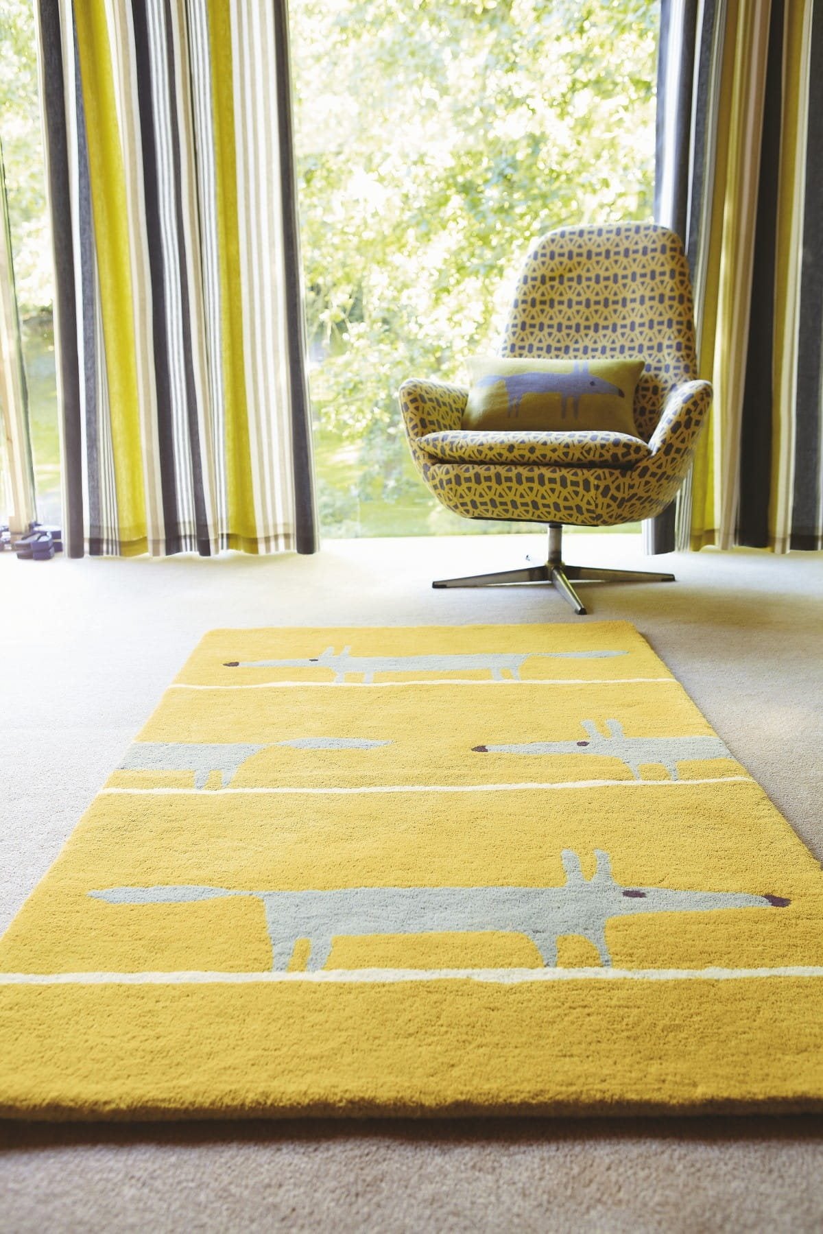 DYWAN PROSTOKĄTNY MR FOX MUSTARD  x  cm od CARPETS & MORE