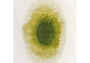 DYWAN PROSTOKĄTNY DROP GREEN PEPPER 240 X 170 CM OD LOUIS DE POORTERE