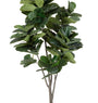 ROŚLINA FICUS 123 LIŚCIE OD BIZZOTTO