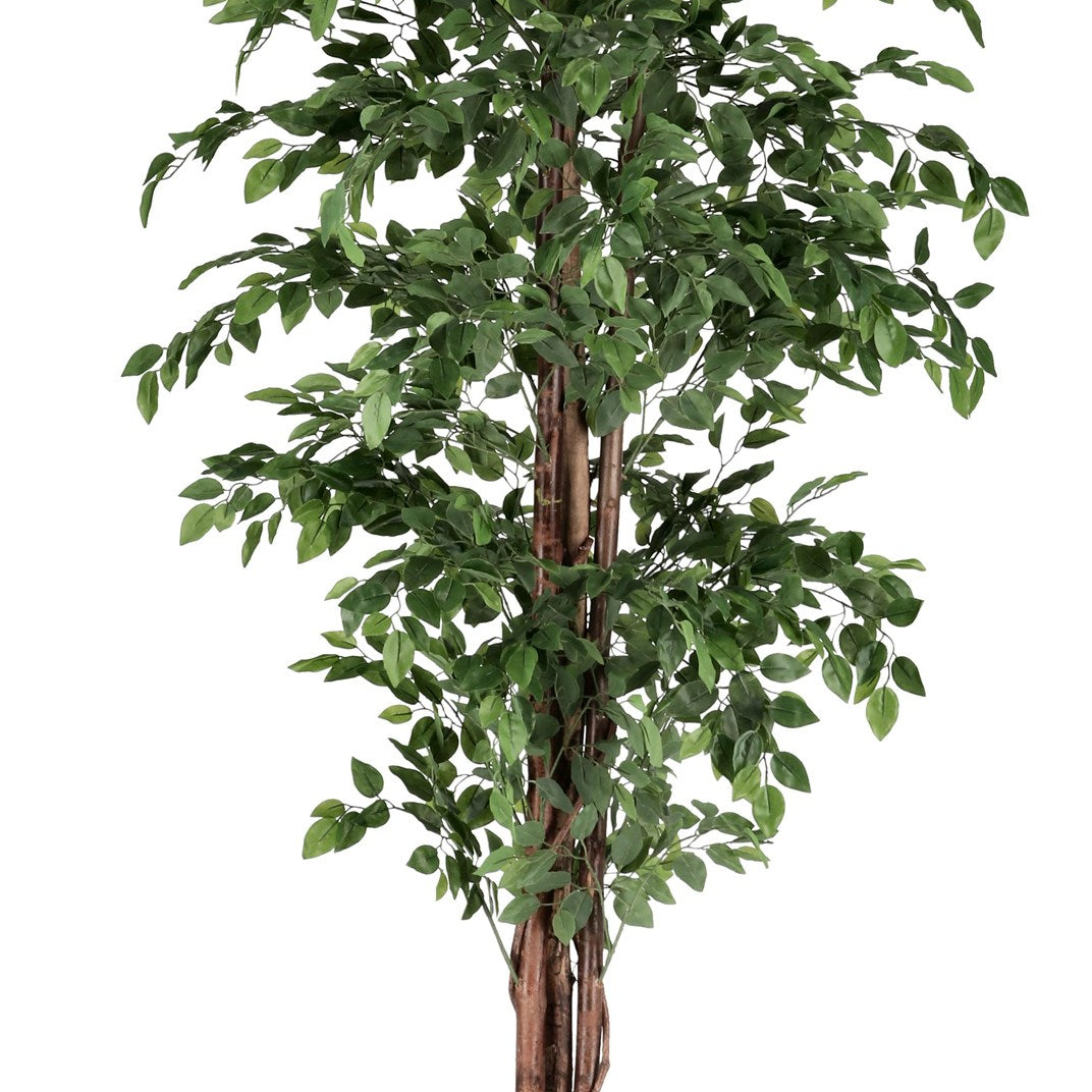 ROŚLINA FICUS 2480 LIŚCI OD BIZZOTTO