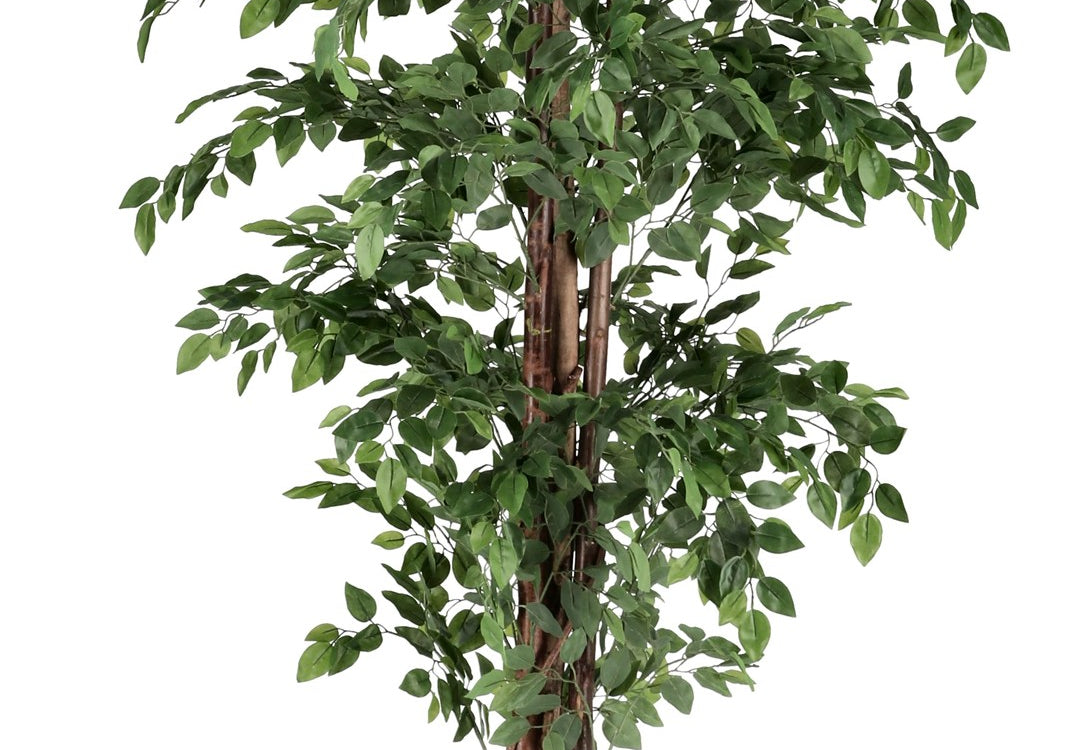 ROŚLINA FICUS 2480 LIŚCI OD BIZZOTTO