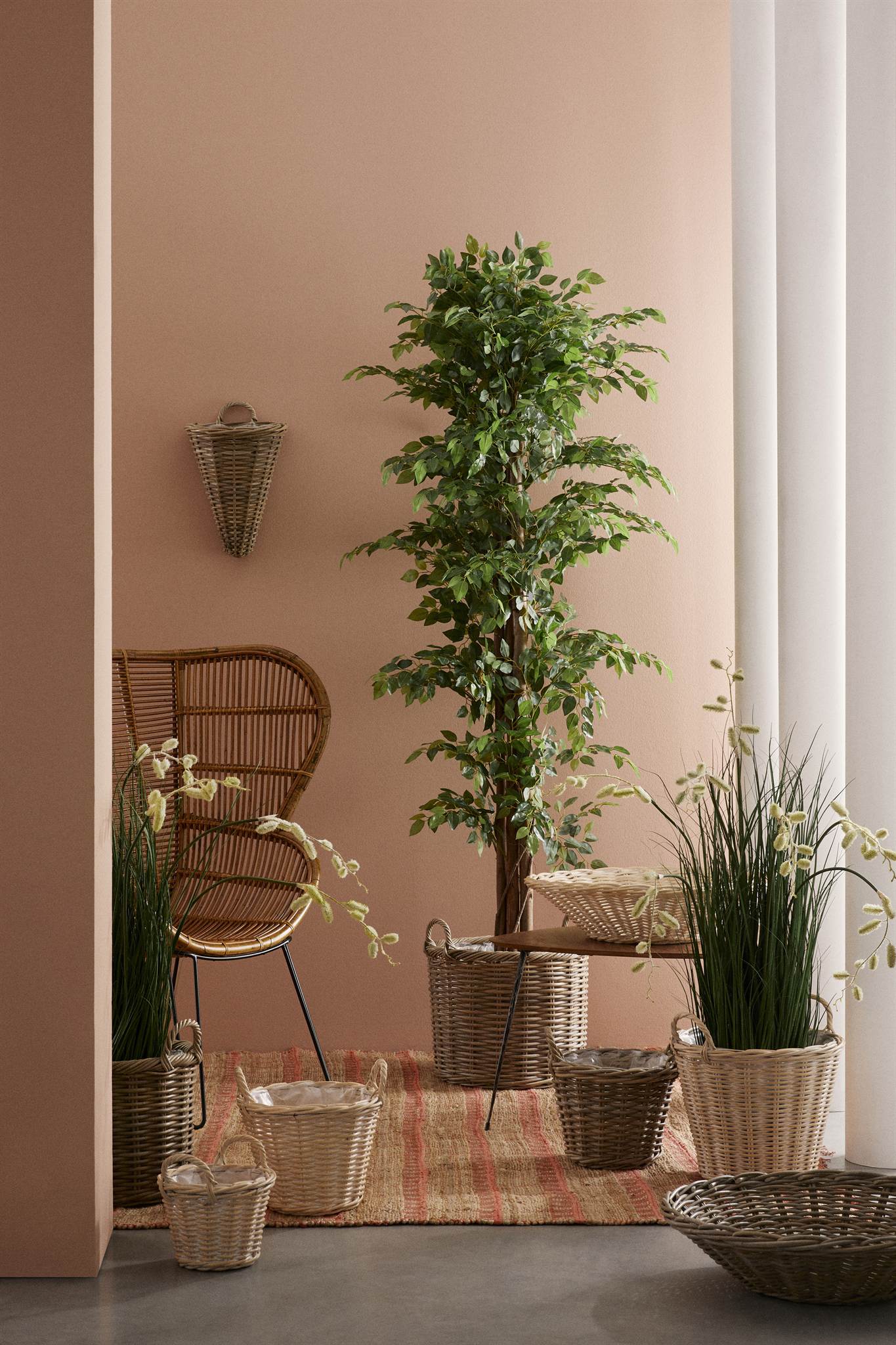 ROŚLINA FICUS 2480 LIŚCI OD BIZZOTTO
